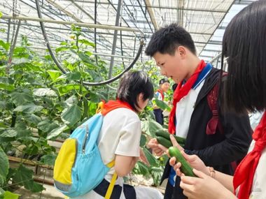 夏日趣研学