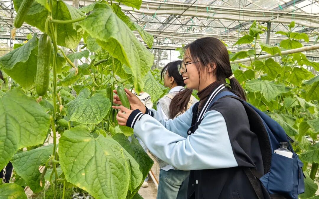 1299c2c2f6fc863bd6c7149ed1fc9e62